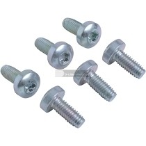 Viessmann Türschrauben